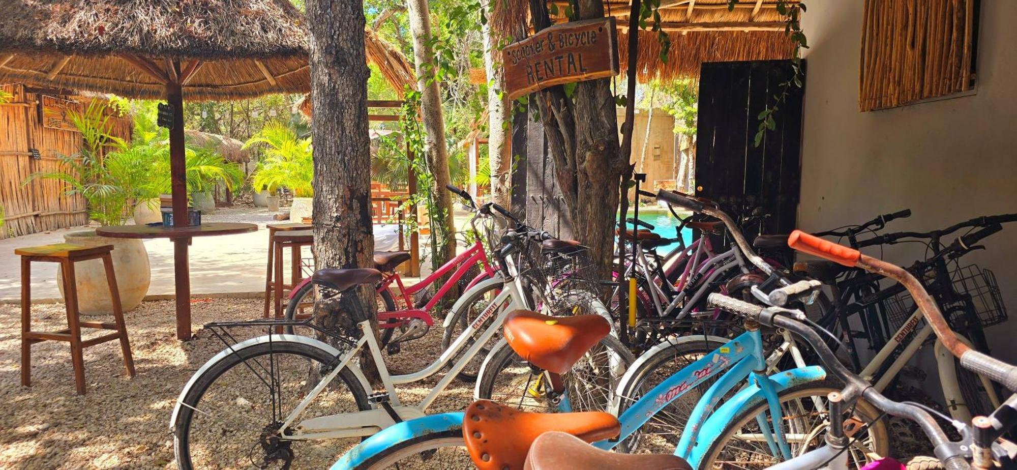 Hotel Kin Tulum Jungle Deluxe מראה חיצוני תמונה