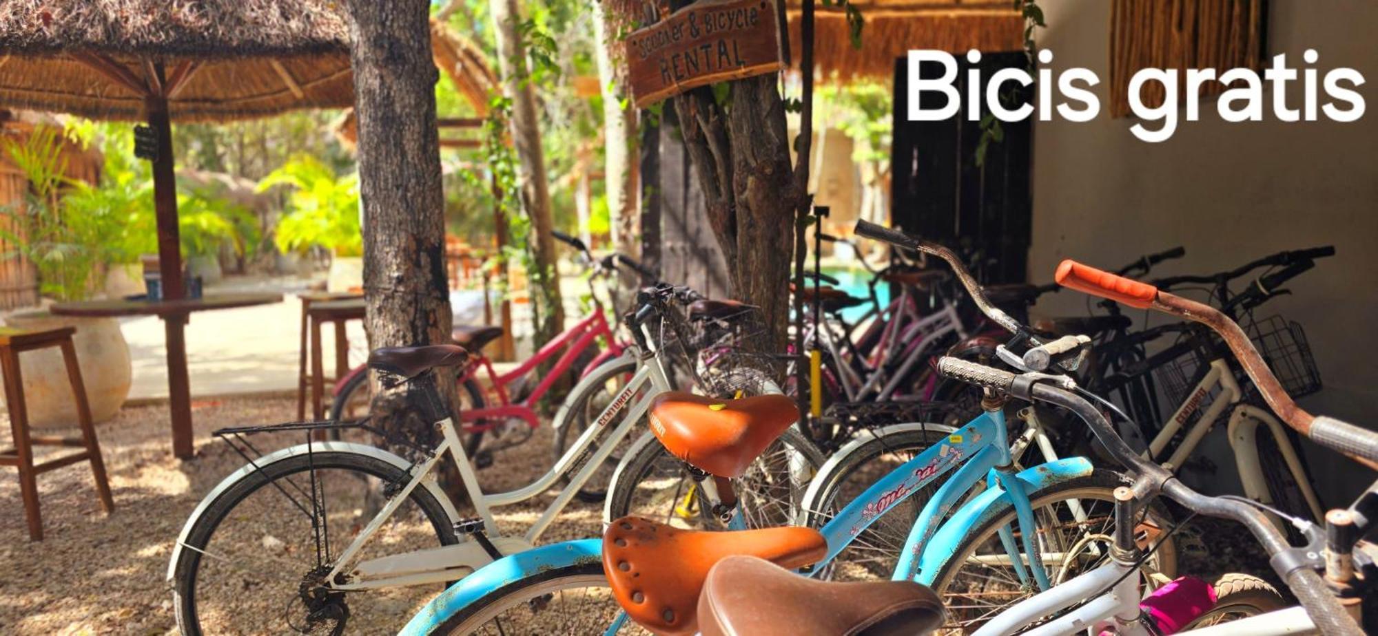 Hotel Kin Tulum Jungle Deluxe מראה חיצוני תמונה