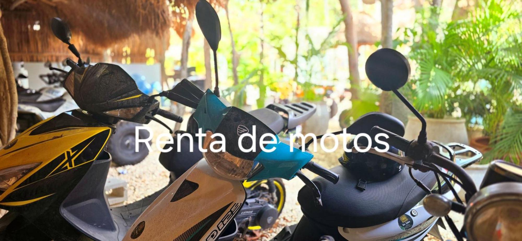 Hotel Kin Tulum Jungle Deluxe מראה חיצוני תמונה