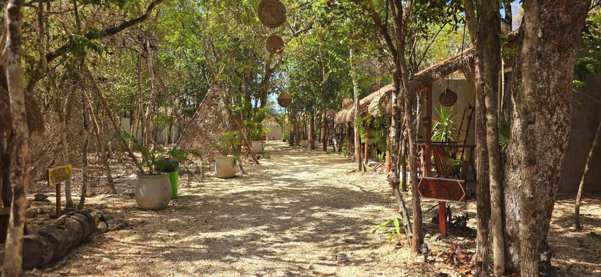 Hotel Kin Tulum Jungle Deluxe מראה חיצוני תמונה
