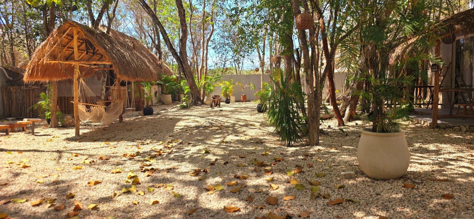 Hotel Kin Tulum Jungle Deluxe מראה חיצוני תמונה