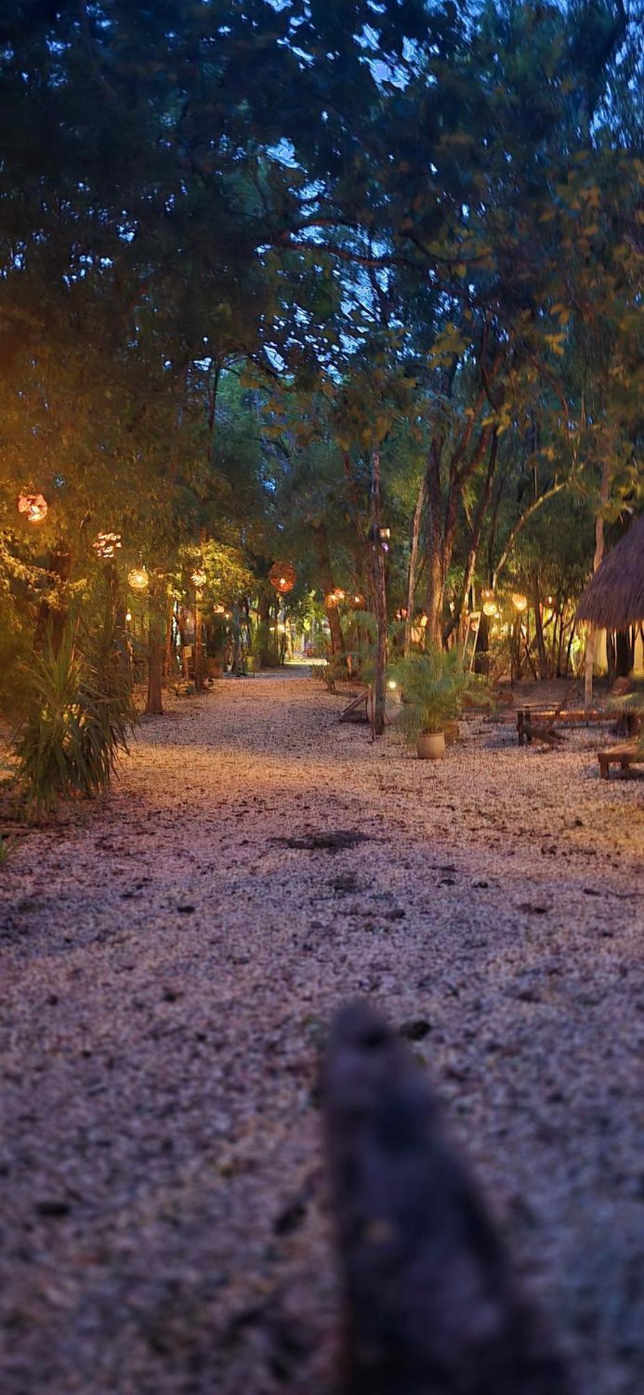 Hotel Kin Tulum Jungle Deluxe מראה חיצוני תמונה